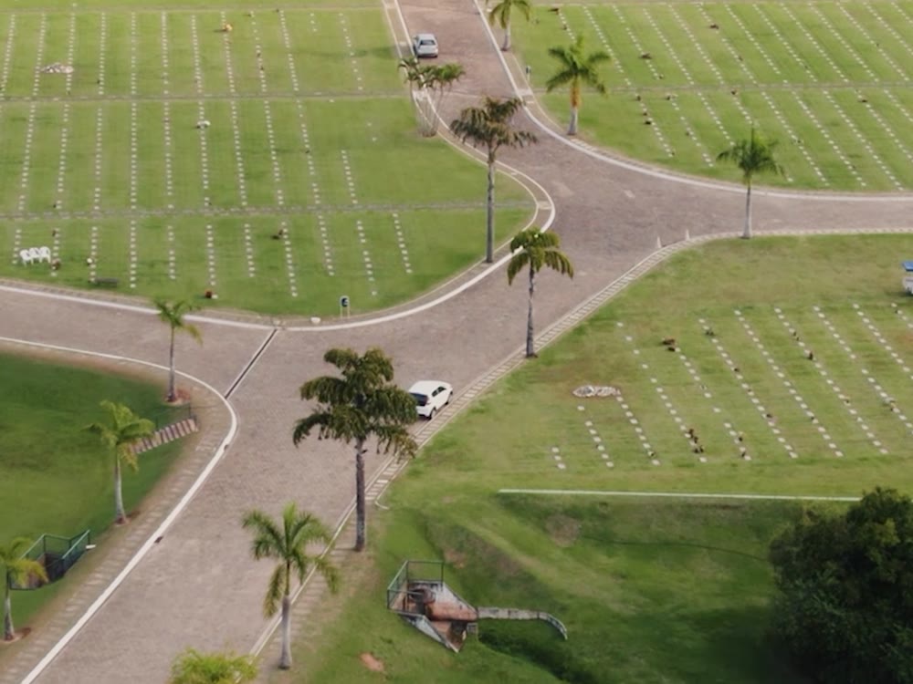 Vista aérea de parque com caminhos e palmeiras